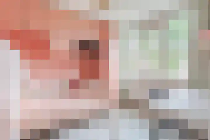 Tarweakker 6 Waddinxveen thumbnail 16