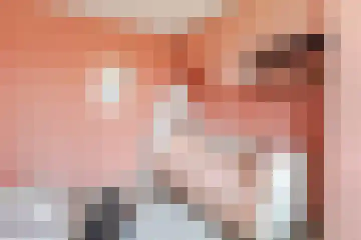 Tarweakker 6 Waddinxveen thumbnail 17