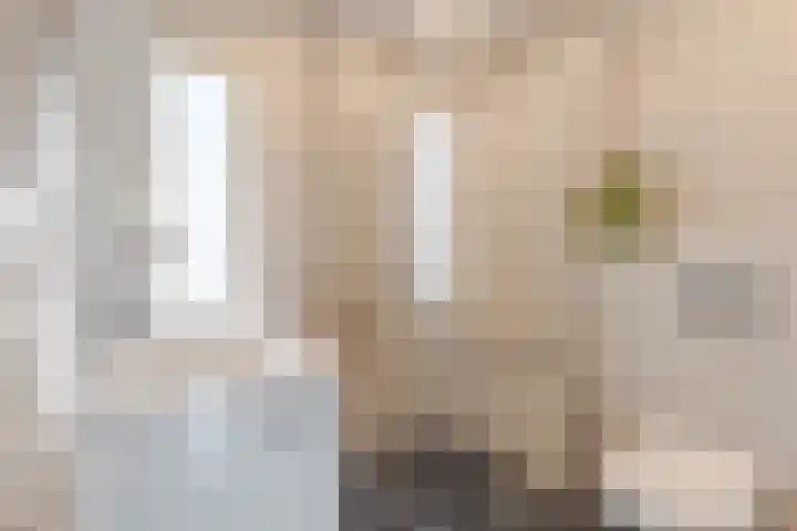 Tarweakker 6 Waddinxveen thumbnail 19
