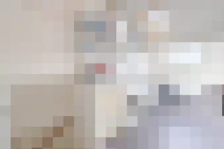 Tarweakker 6 Waddinxveen thumbnail 21