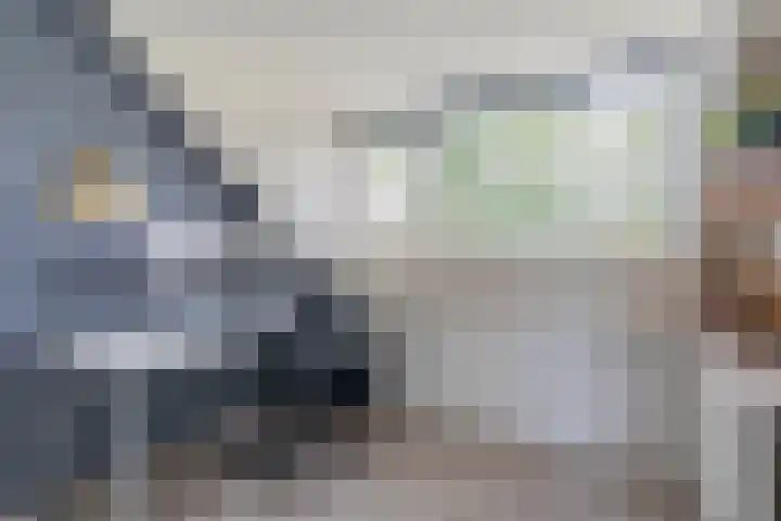 Tarweakker 6 Waddinxveen thumbnail 22