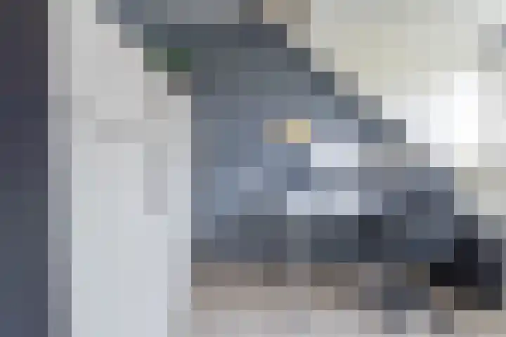 Tarweakker 6 Waddinxveen thumbnail 23
