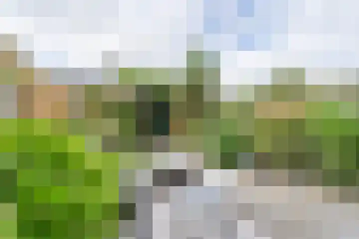 Tarweakker 6 Waddinxveen thumbnail 28