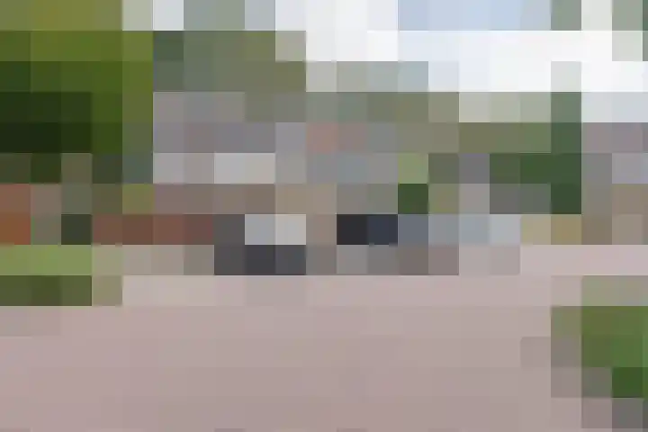 Tarweakker 6 Waddinxveen thumbnail 29