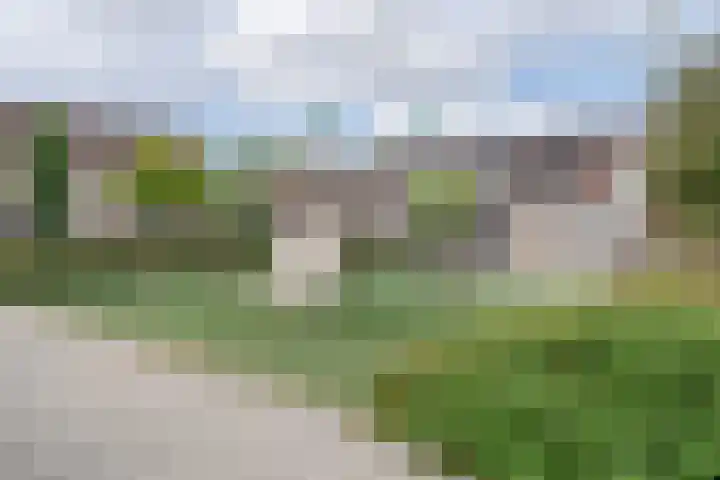 Tarweakker 6 Waddinxveen thumbnail 30