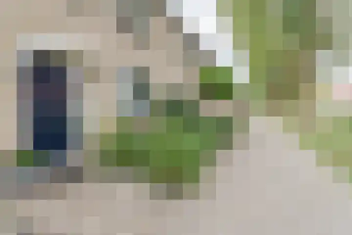 Tarweakker 6 Waddinxveen thumbnail 4