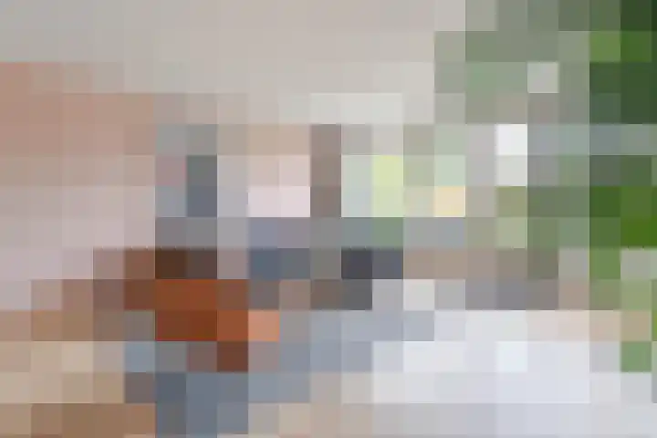 Tarweakker 6 Waddinxveen thumbnail 7