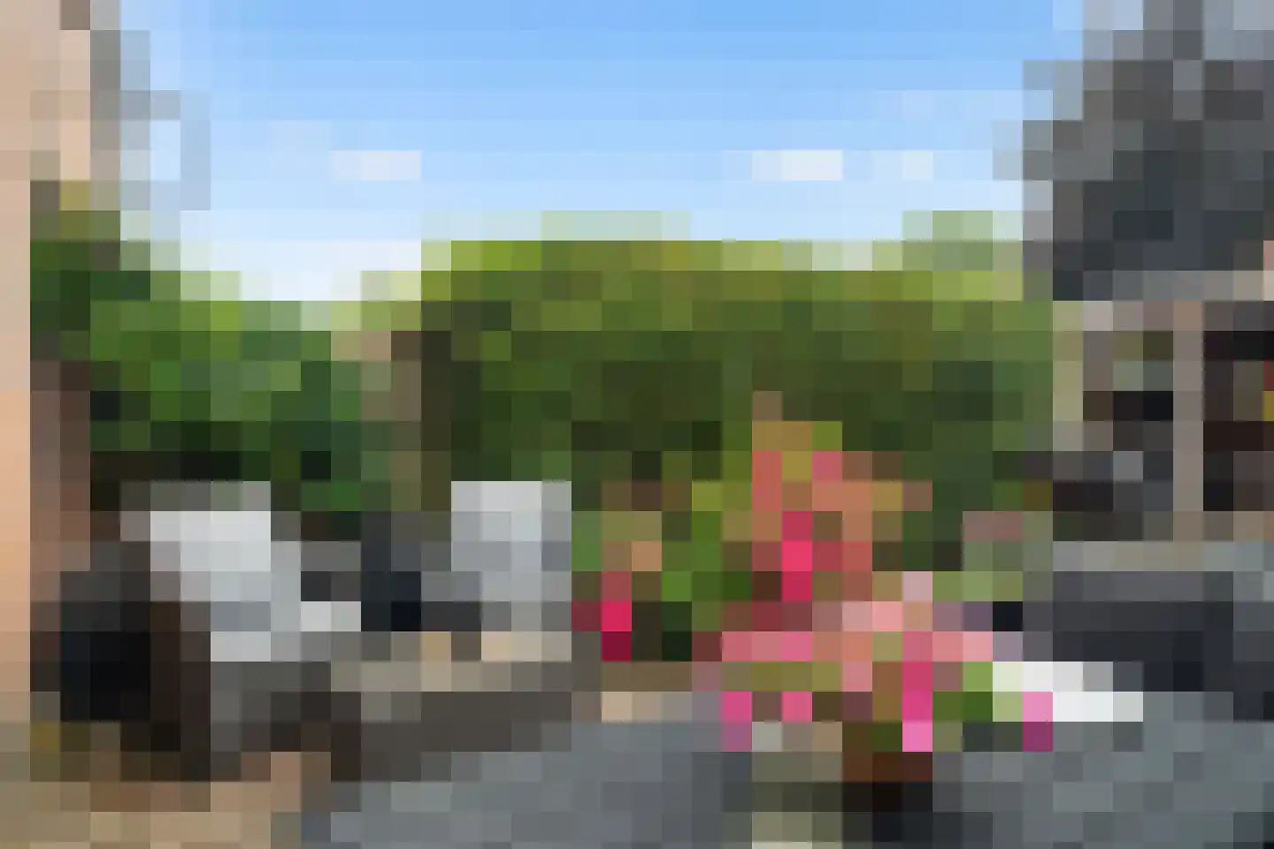 Tarweakker 62 Zoetermeer thumbnail 12