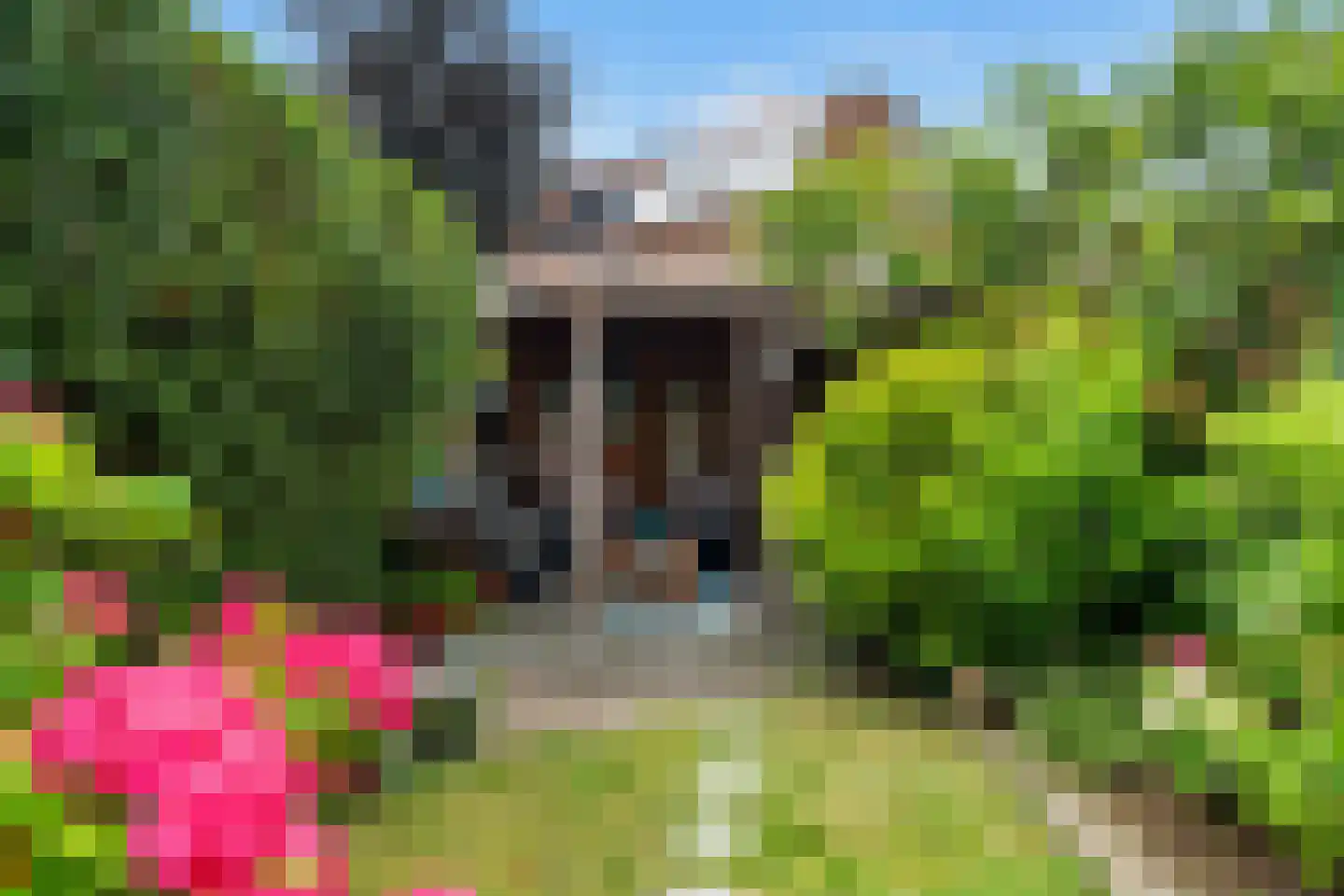 Tarweakker 62 Zoetermeer thumbnail 13