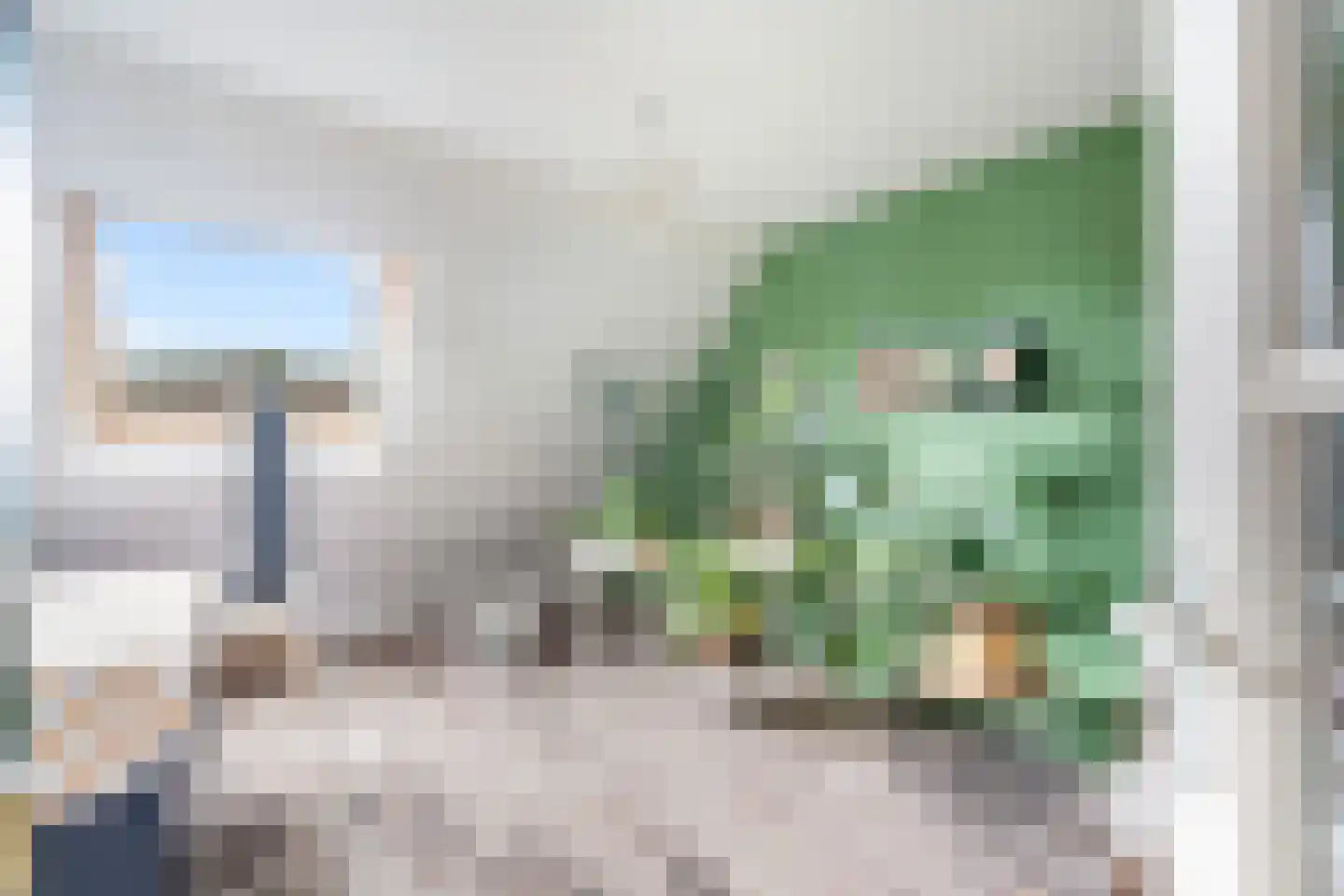 Tarweakker 62 Zoetermeer thumbnail 37