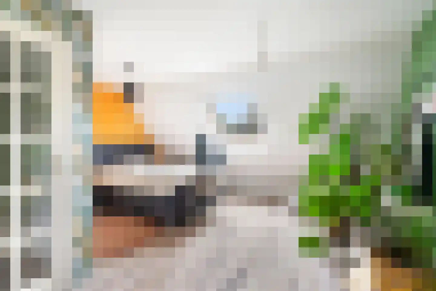 Tarweakker 62 Zoetermeer thumbnail 38
