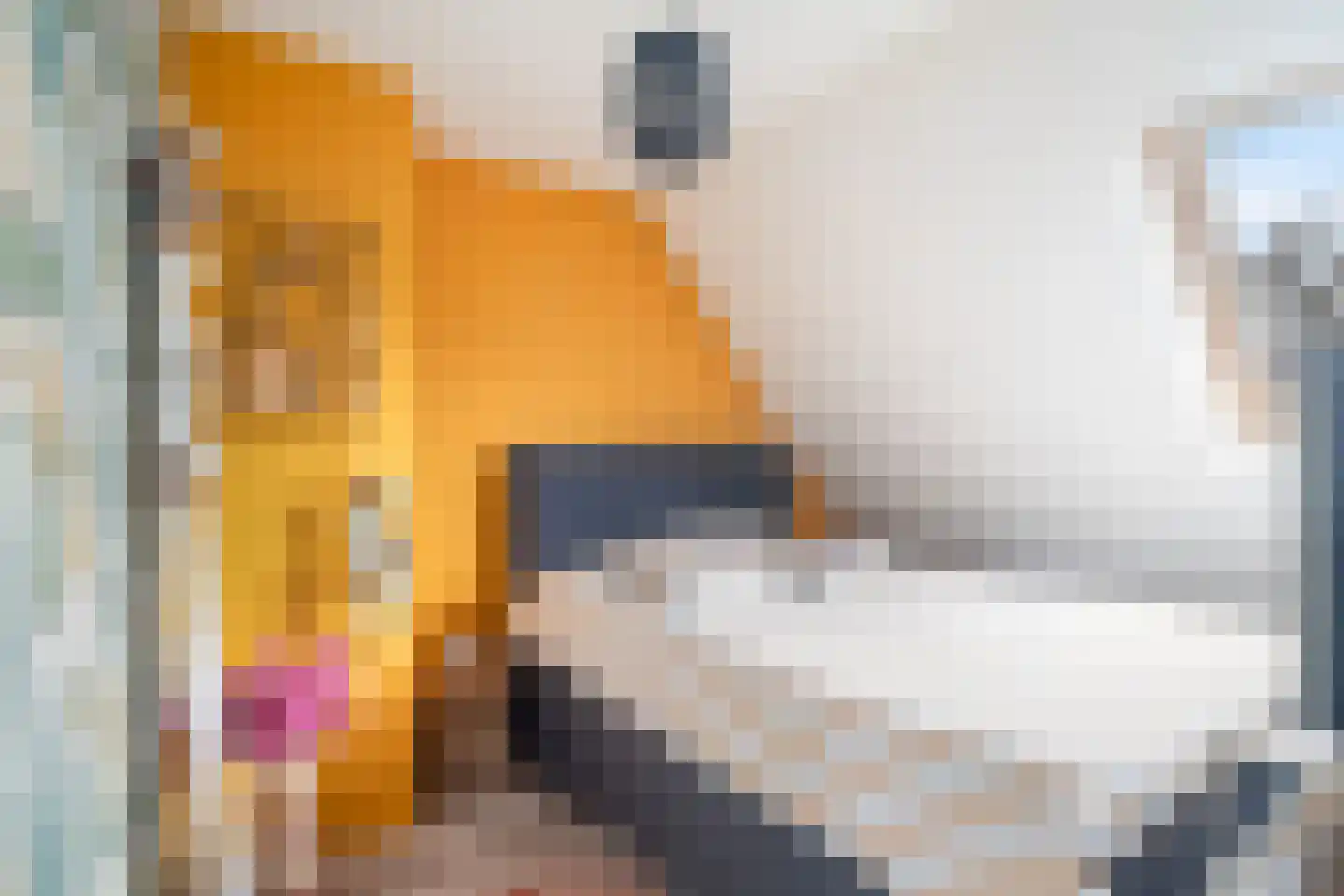 Tarweakker 62 Zoetermeer thumbnail 39