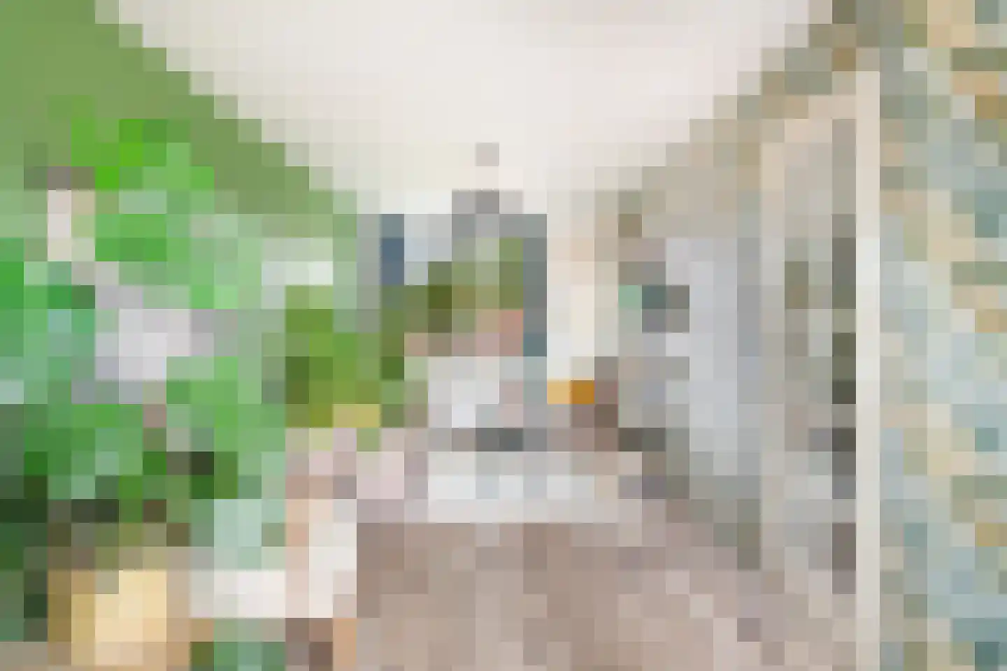 Tarweakker 62 Zoetermeer thumbnail 40