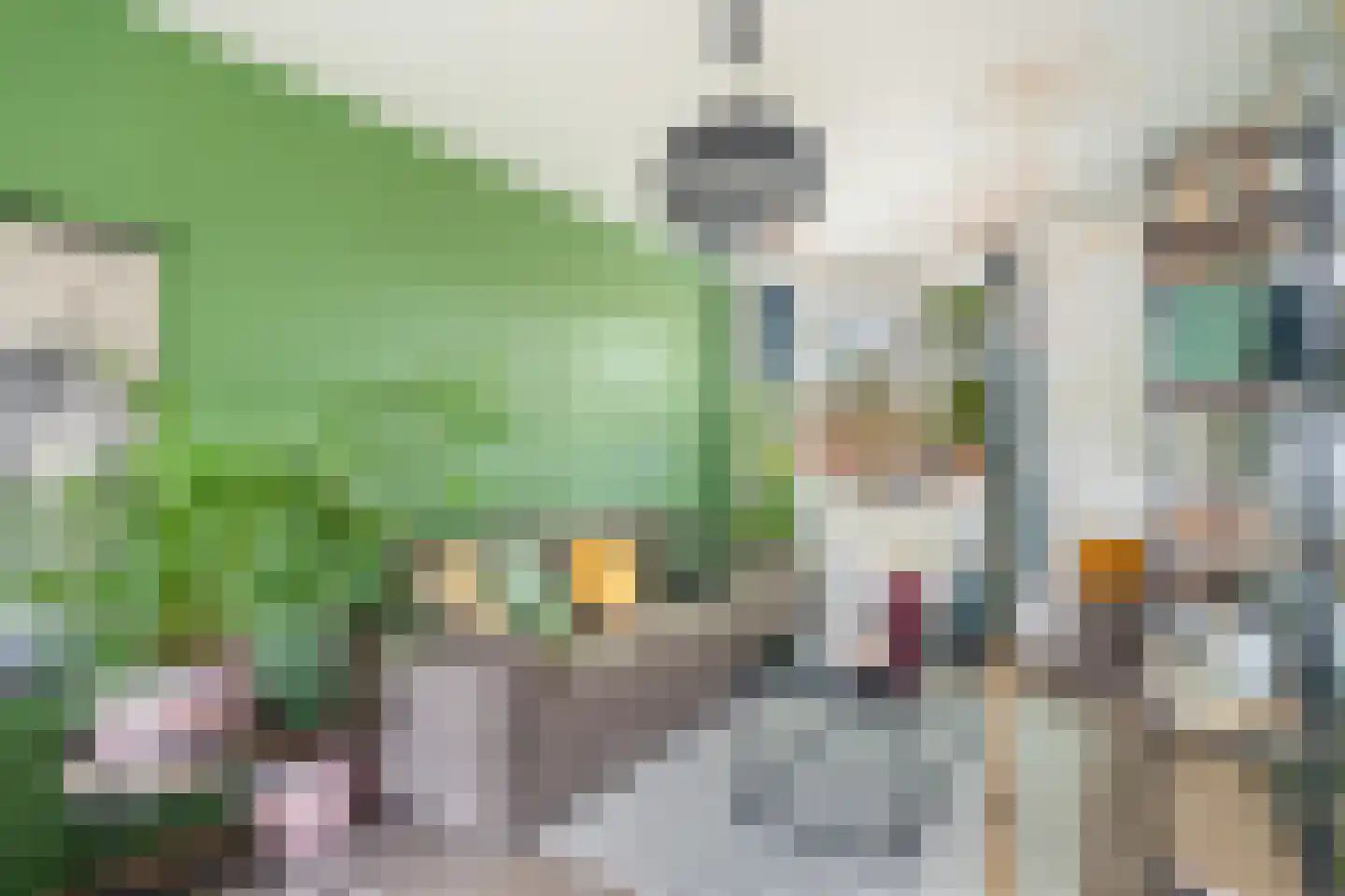 Tarweakker 62 Zoetermeer thumbnail 41