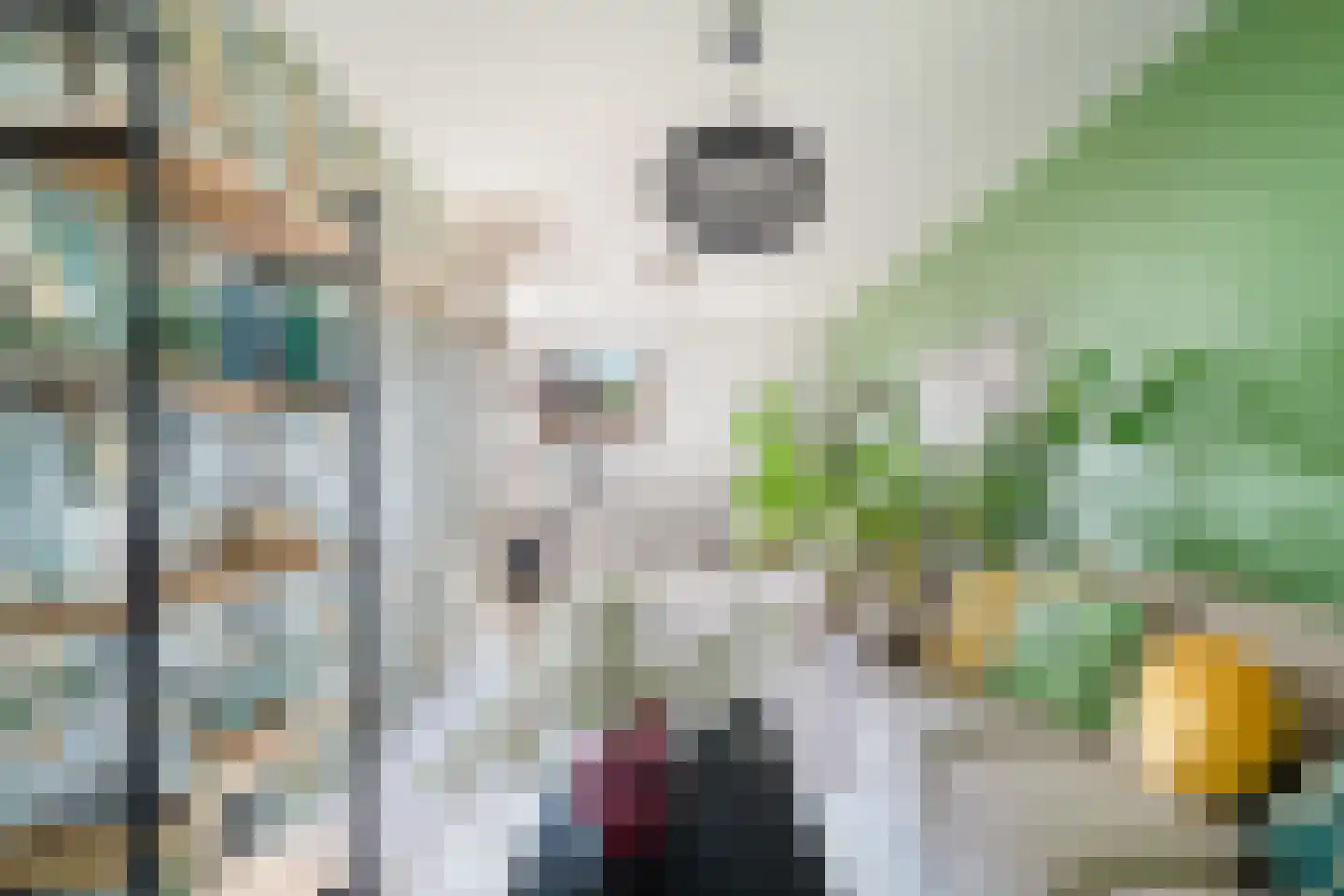 Tarweakker 62 Zoetermeer thumbnail 42