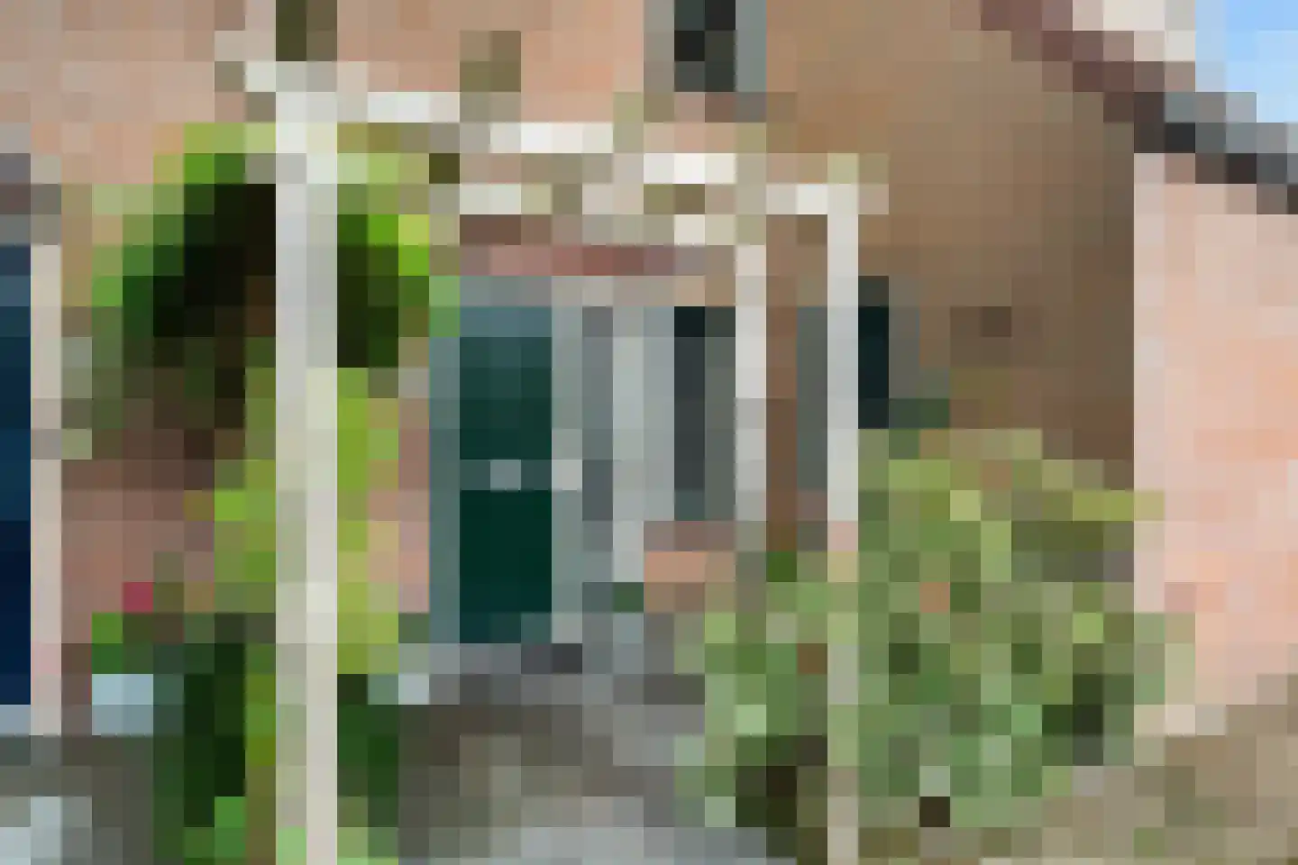 Tarweakker 62 Zoetermeer thumbnail 44