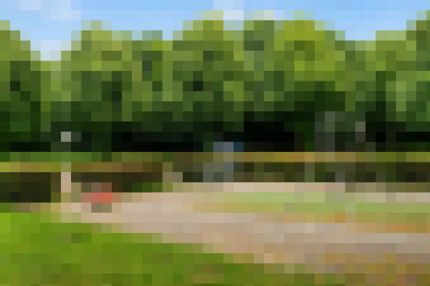Tarweakker 62 Zoetermeer thumbnail 45