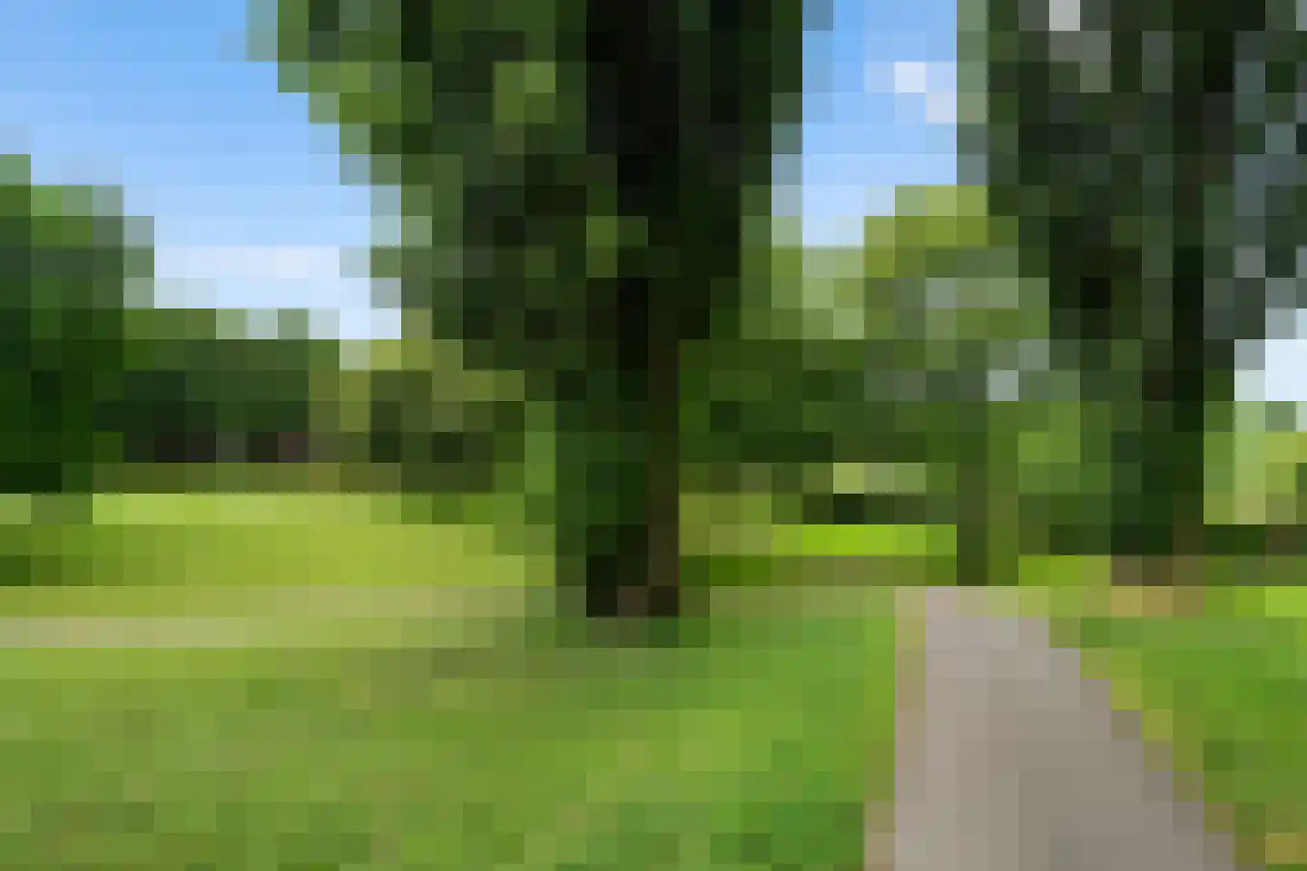 Tarweakker 62 Zoetermeer thumbnail 47