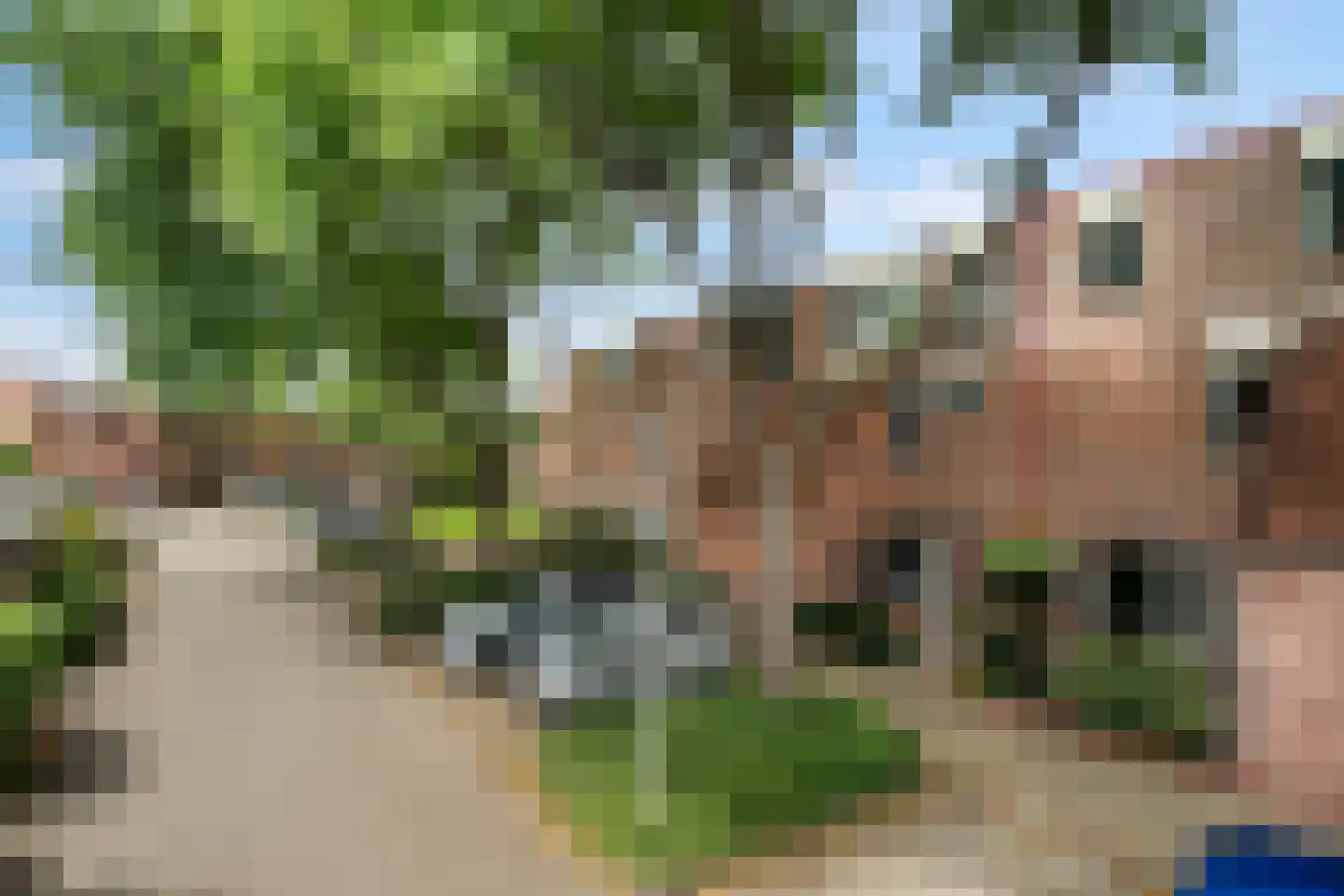 Tarweakker 62 Zoetermeer thumbnail 6