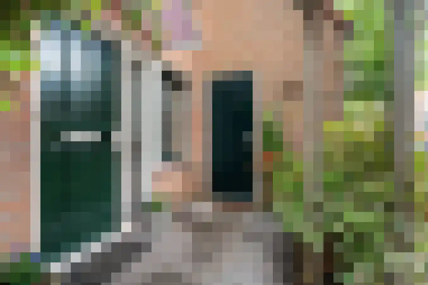 Tarweakker 62 Zoetermeer thumbnail 7