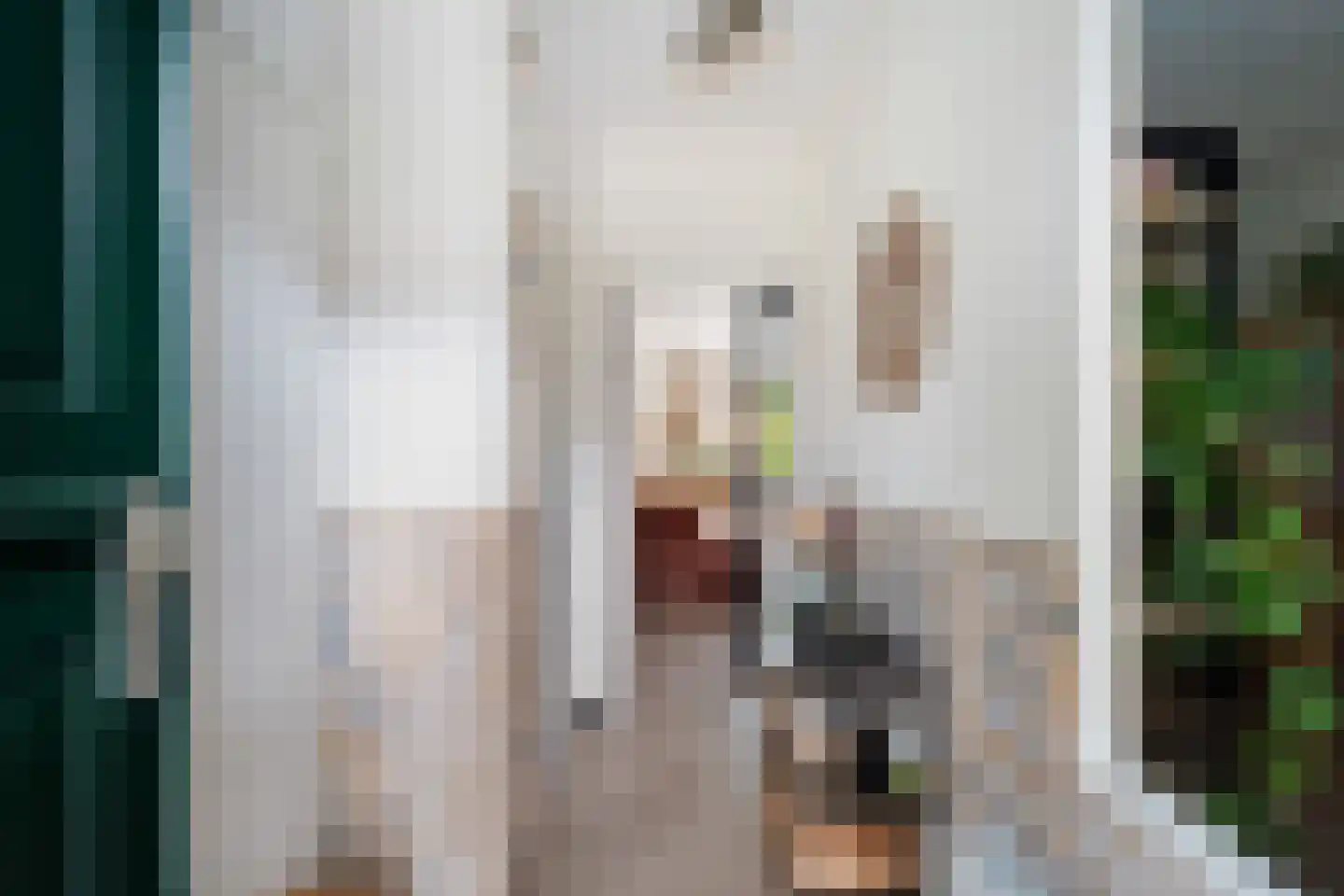 Tarweakker 62 Zoetermeer thumbnail 8