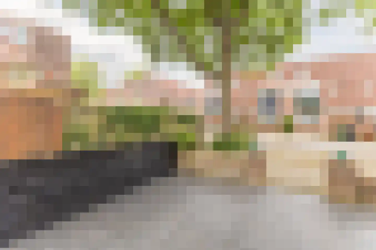 Tarweakker 72 Zoetermeer thumbnail 10