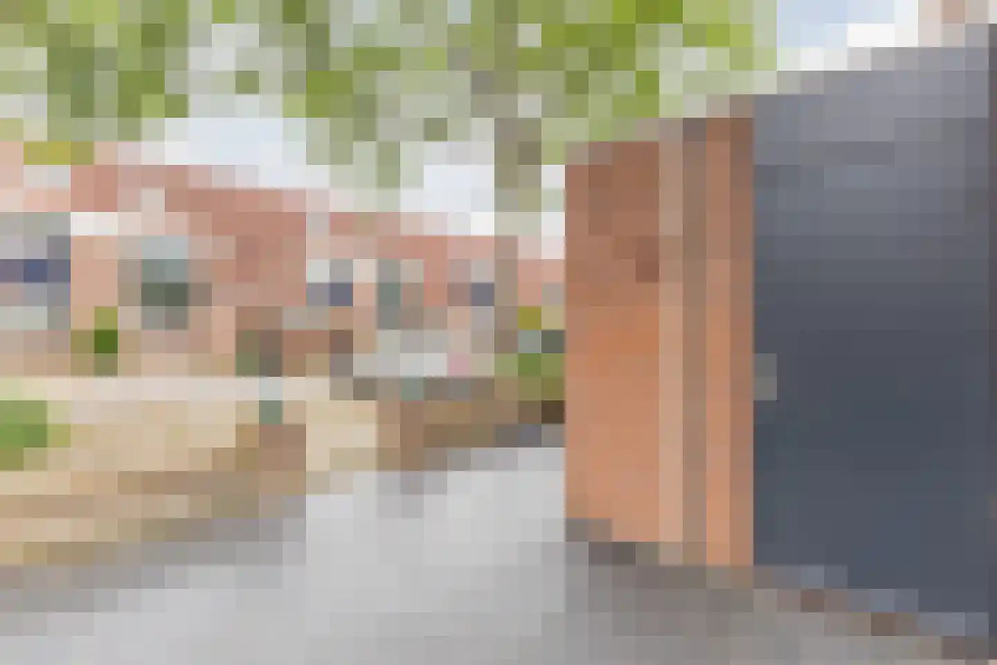 Tarweakker 72 Zoetermeer thumbnail 11