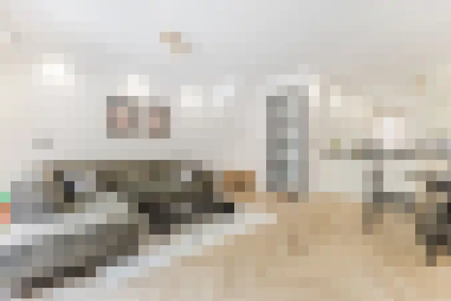 Tarweakker 72 Zoetermeer thumbnail 18
