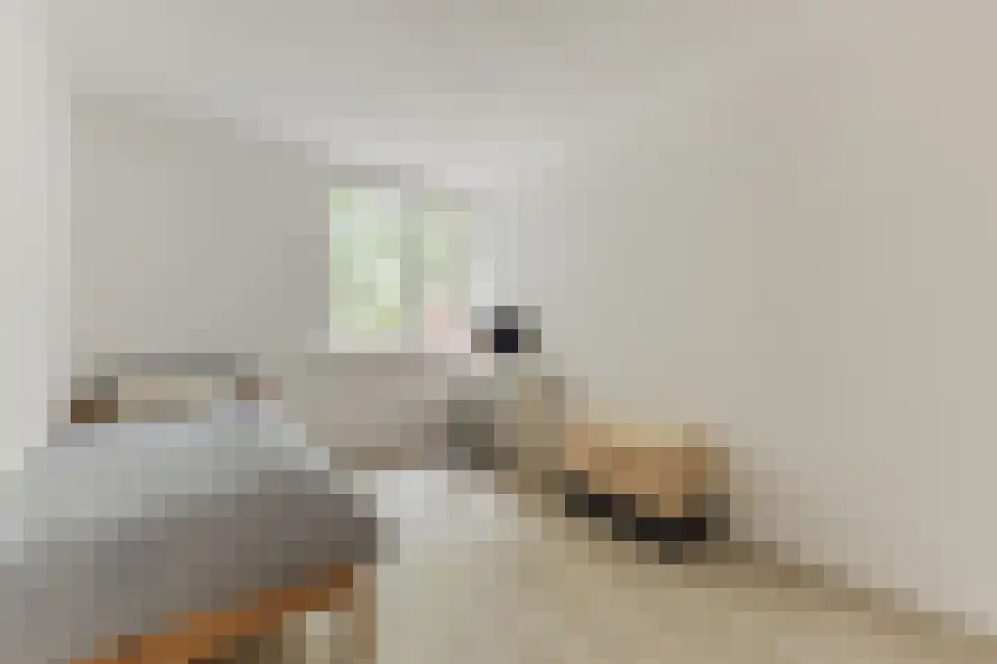 Tarweakker 72 Zoetermeer thumbnail 35