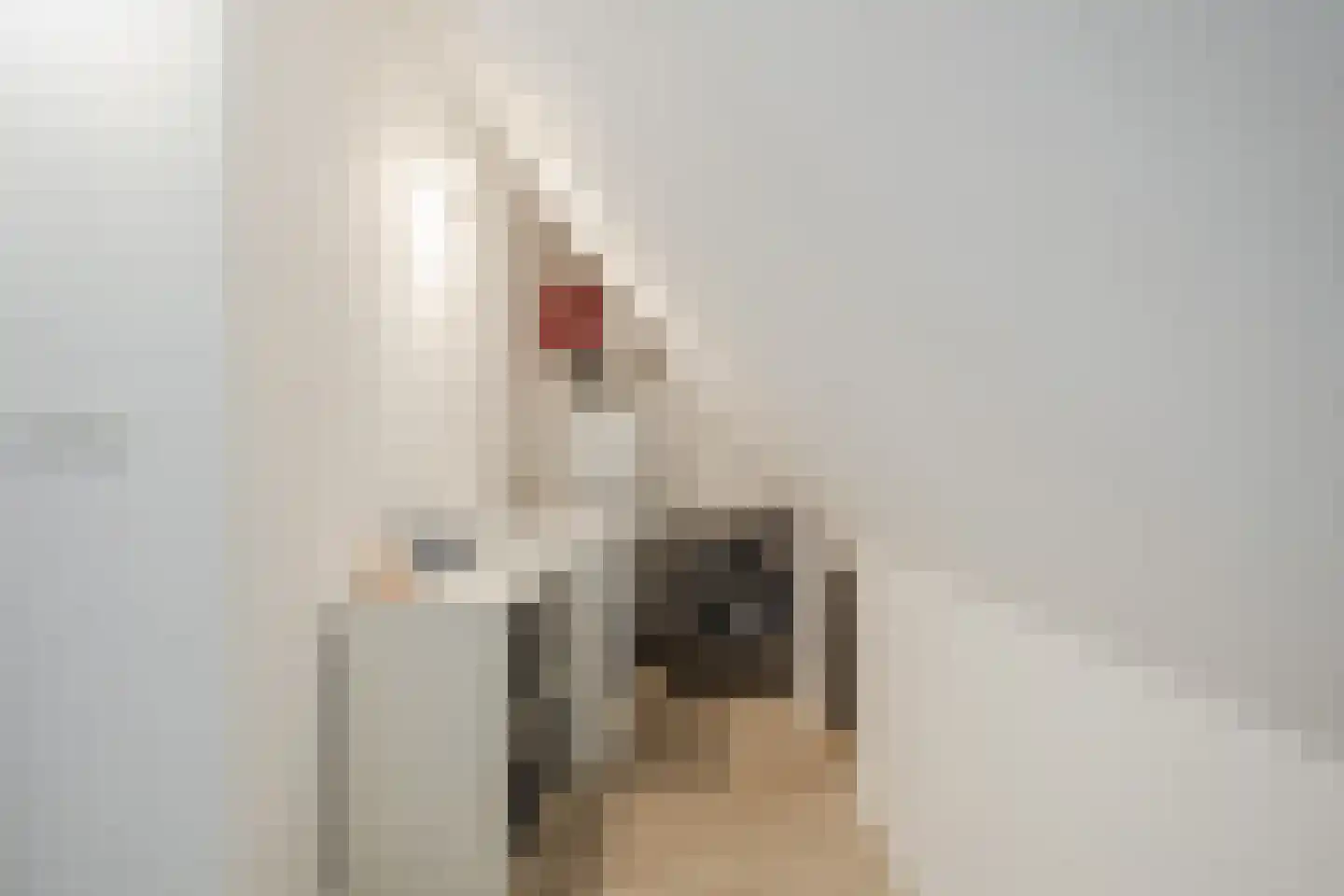 Tarweakker 72 Zoetermeer thumbnail 40