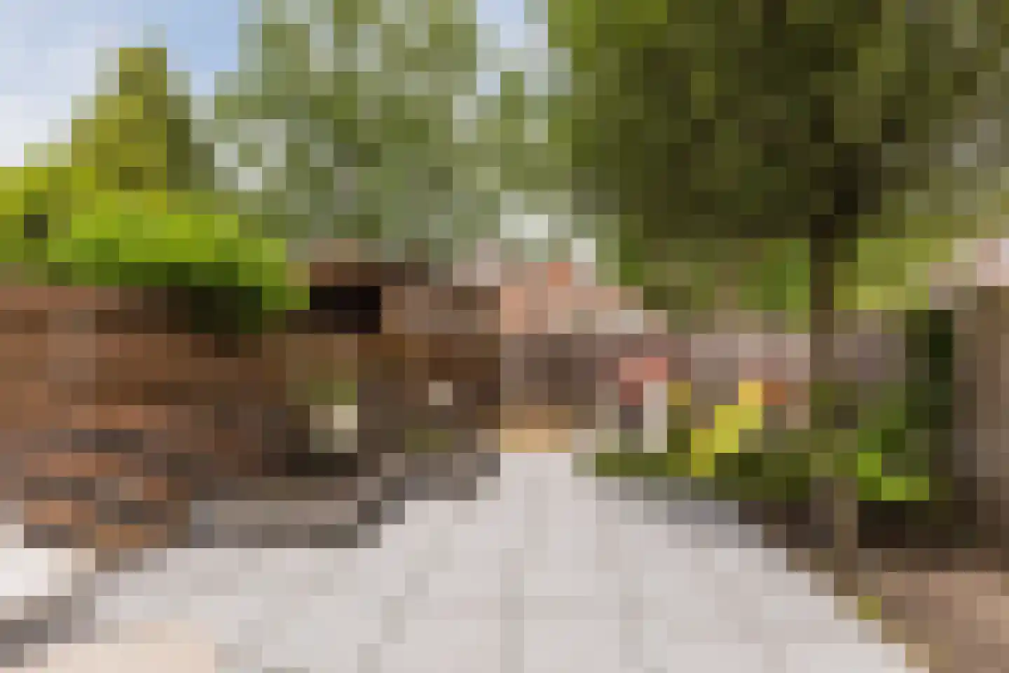 Tarweakker 72 Zoetermeer thumbnail 44