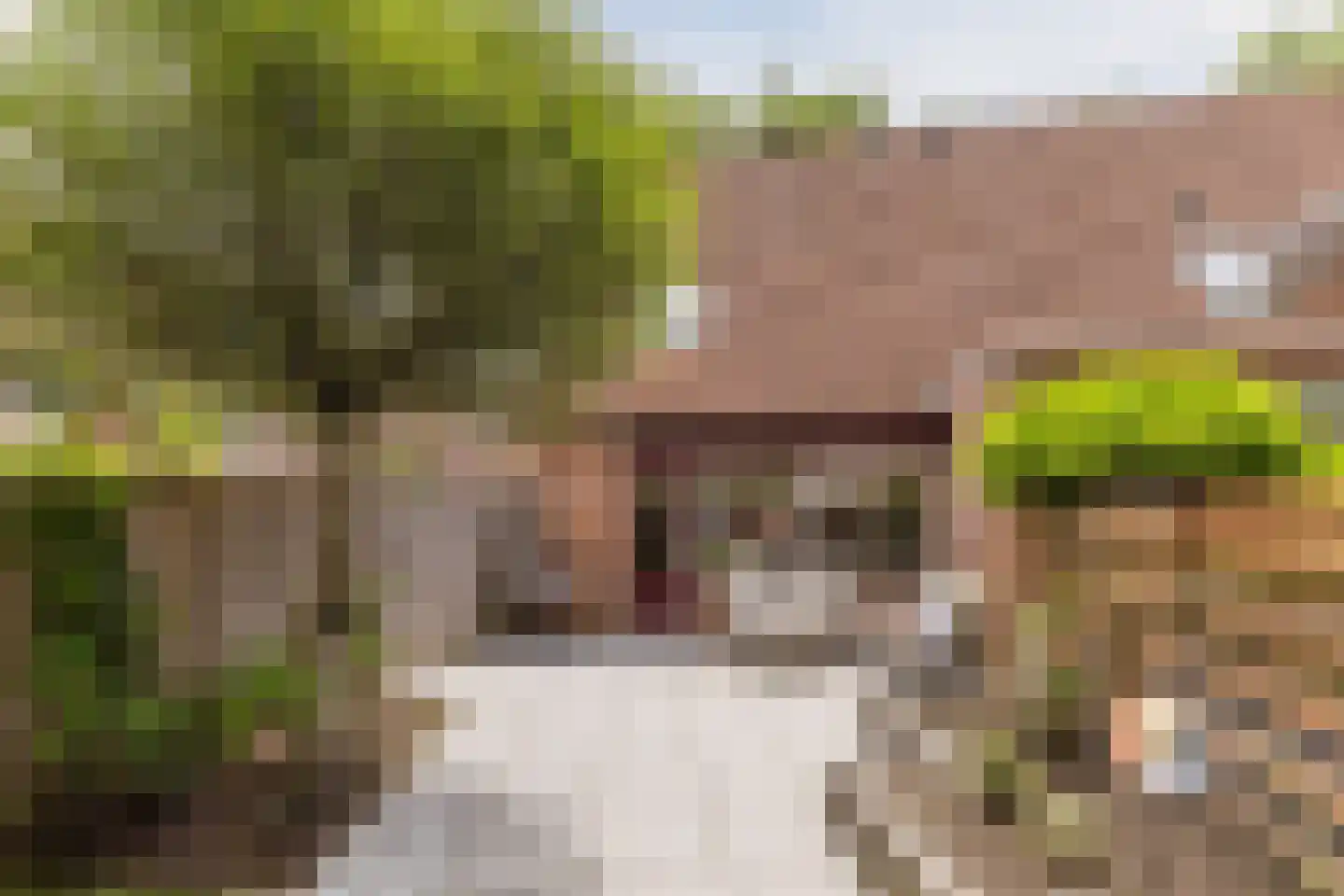 Tarweakker 72 Zoetermeer thumbnail 45