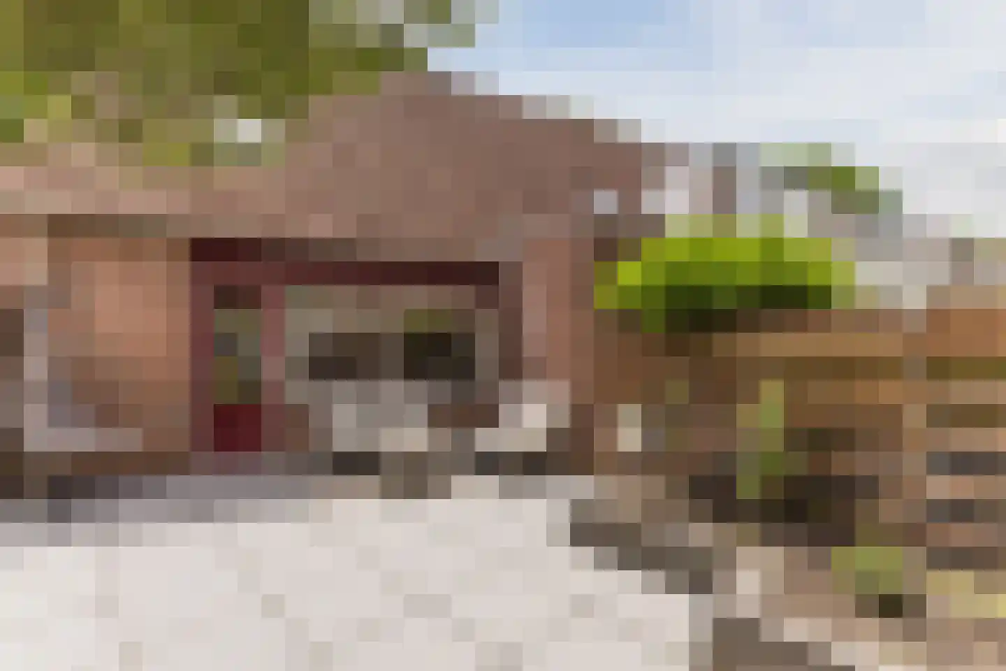 Tarweakker 72 Zoetermeer thumbnail 5