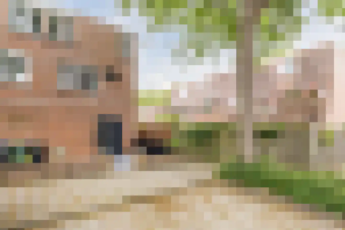Tarweakker 72 Zoetermeer thumbnail 6
