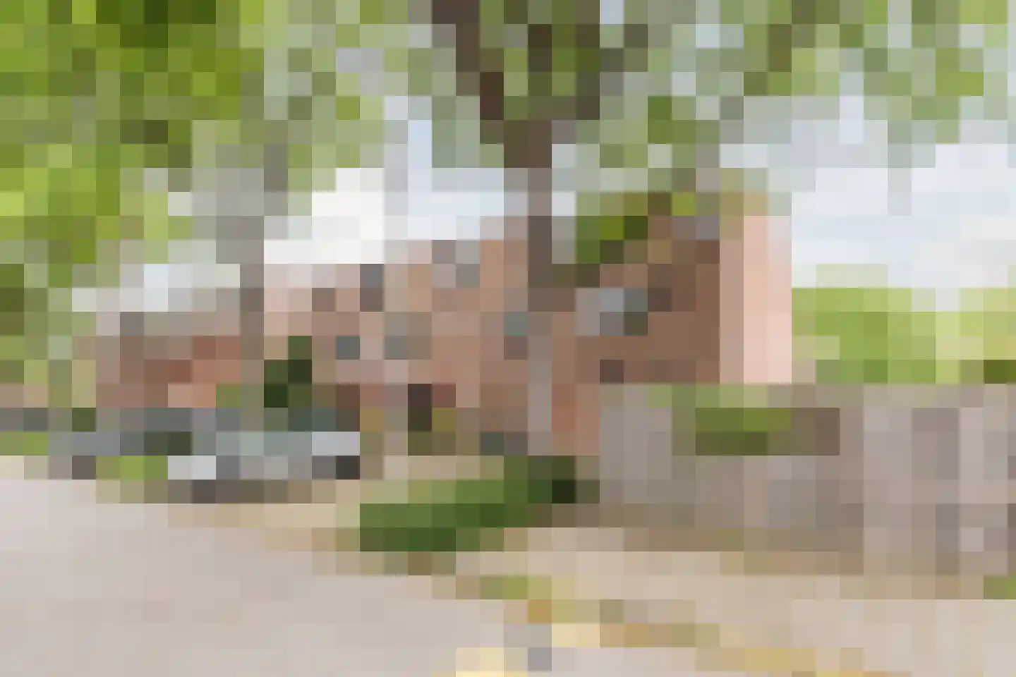 Tarweakker 72 Zoetermeer thumbnail 7