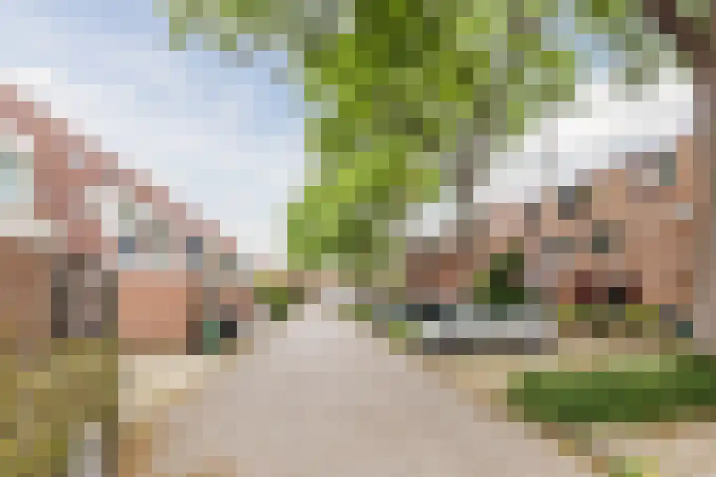 Tarweakker 72 Zoetermeer thumbnail 8