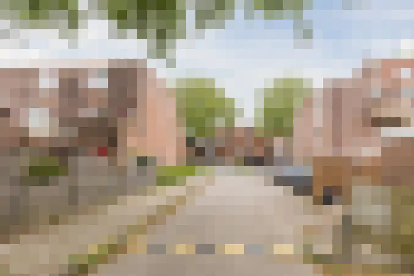 Tarweakker 72 Zoetermeer thumbnail 9