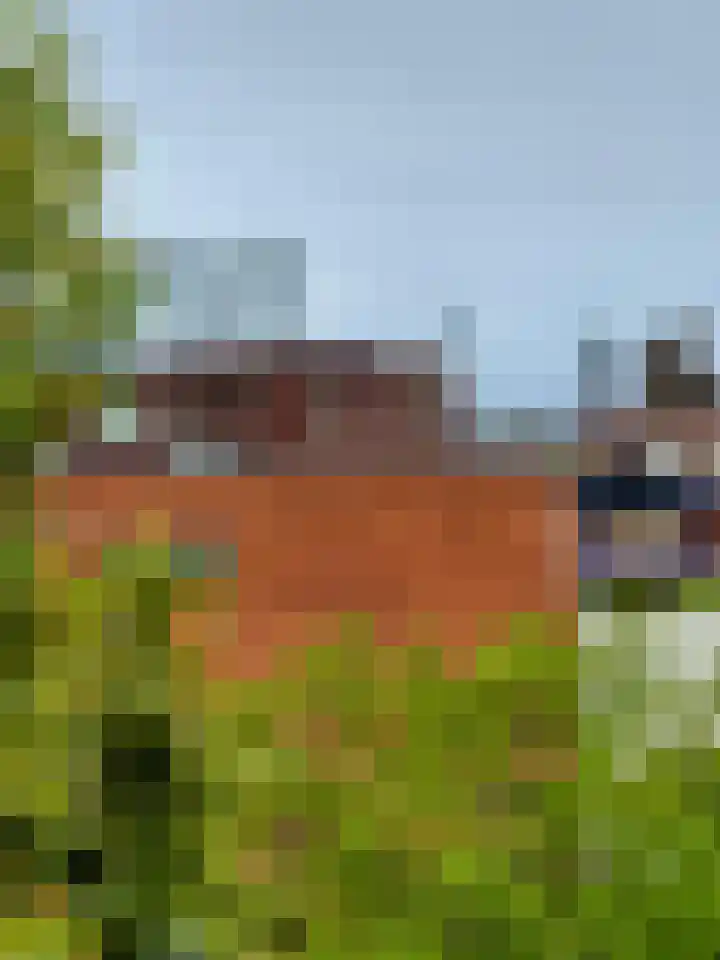 Tarweakker 9 's-Hertogenbosch