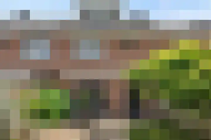 Tarweakker 9 's-Hertogenbosch thumbnail 17