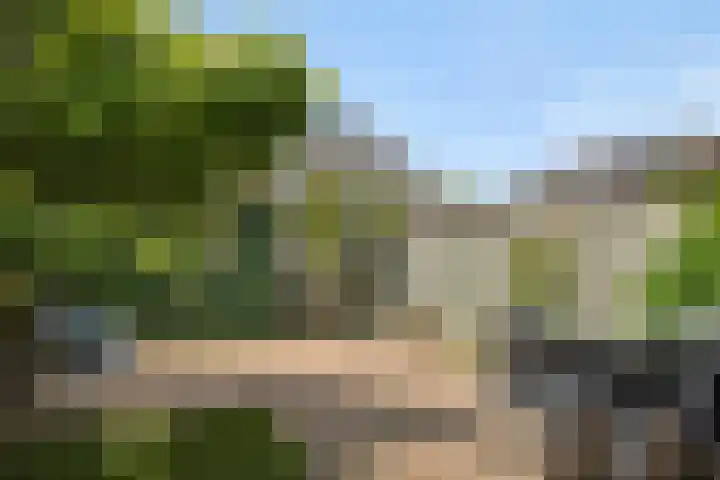 Tarweakker 9 's-Hertogenbosch thumbnail 18