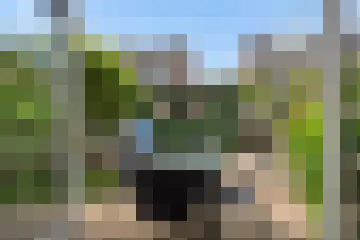 Tarweakker 9 's-Hertogenbosch thumbnail 19
