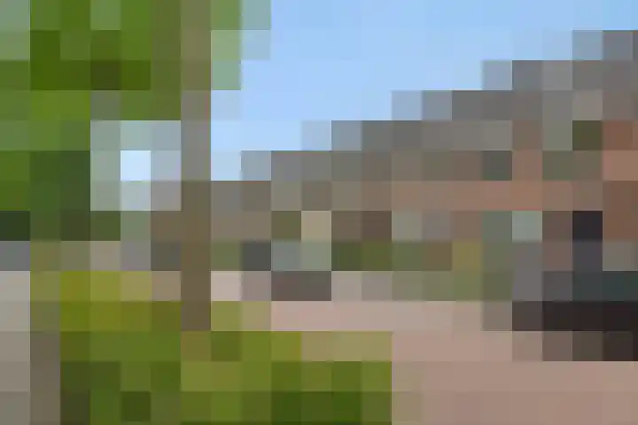 Tarweakker 9 's-Hertogenbosch thumbnail 20