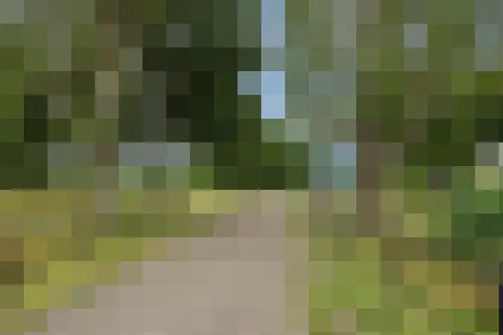 Tarweakker 9 's-Hertogenbosch thumbnail 21