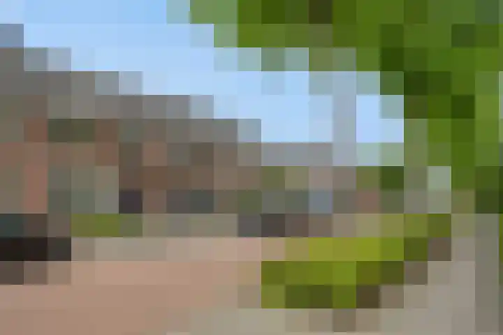 Tarweakker 9 's-Hertogenbosch thumbnail 22