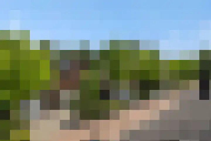 Tarweakker 9 's-Hertogenbosch thumbnail 23
