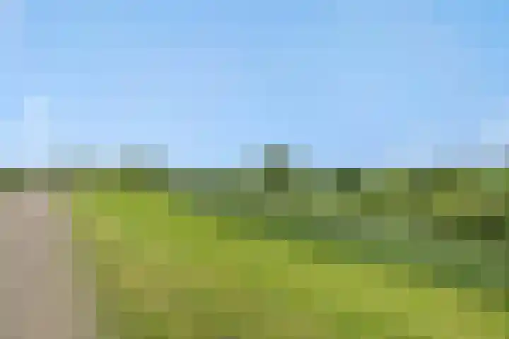 Tarweakker 9 's-Hertogenbosch thumbnail 24