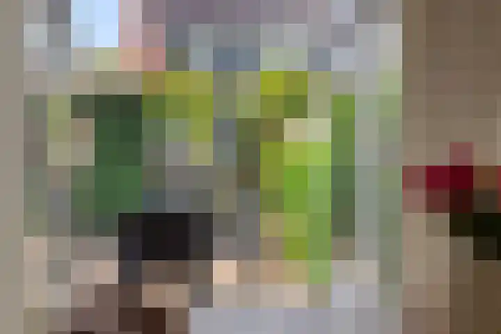 Tarweakker 9 's-Hertogenbosch thumbnail 9