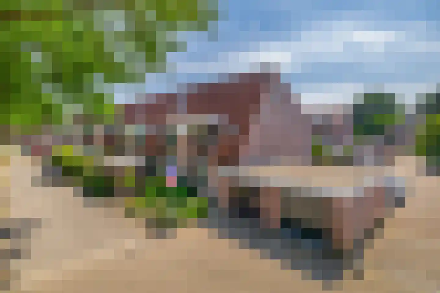 Tarweakker 91 Zoetermeer thumbnail 10