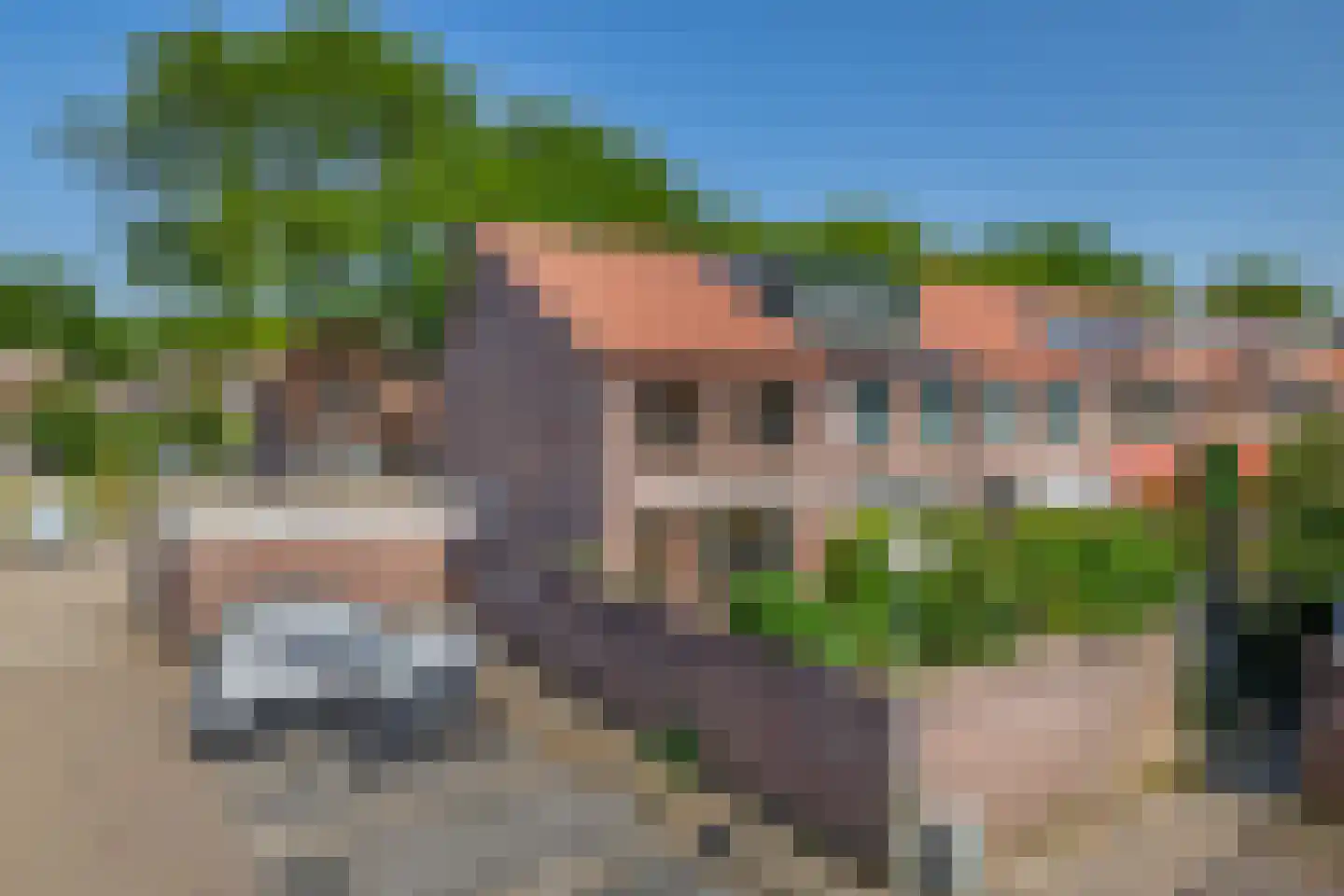 Tarweakker 91 Zoetermeer thumbnail 12