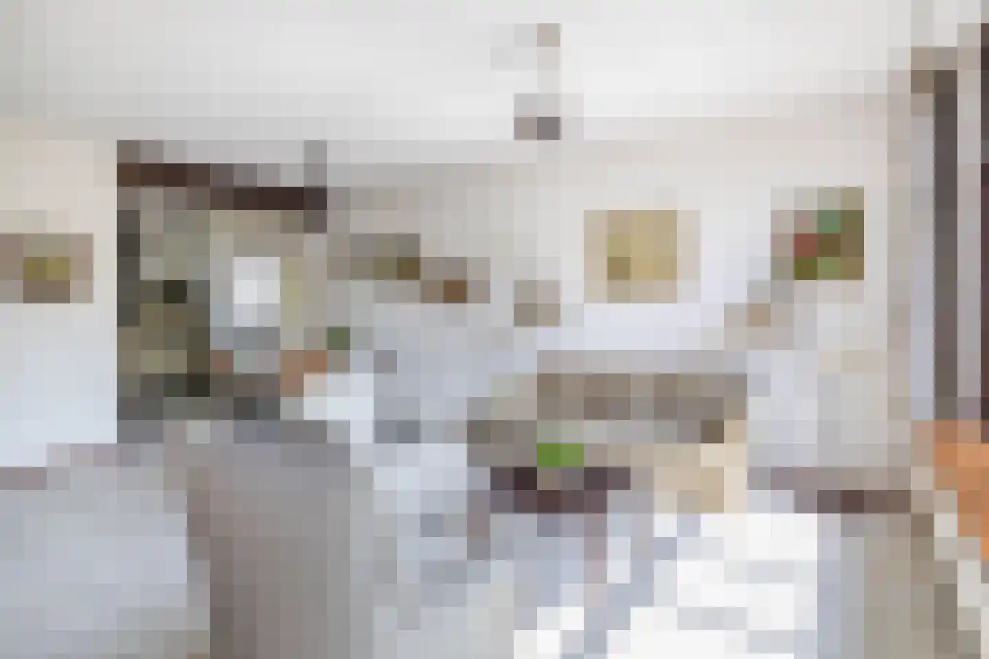 Tarweakker 91 Zoetermeer thumbnail 18